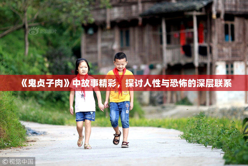 《鬼贞子肉》中故事精彩，探讨人性与恐怖的深层联系