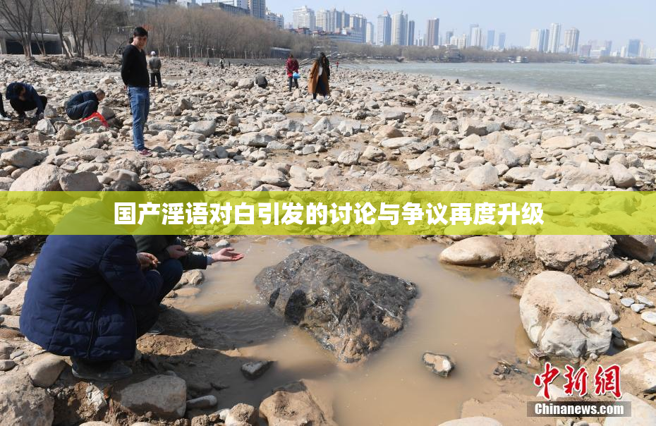 国产淫语对白引发的讨论与争议再度升级