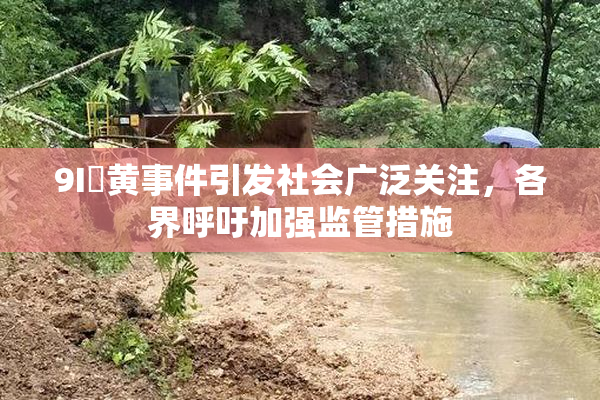 9I婬黄事件引发社会广泛关注，各界呼吁加强监管措施