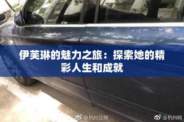 伊芙琳的魅力之旅：探索她的精彩人生和成就