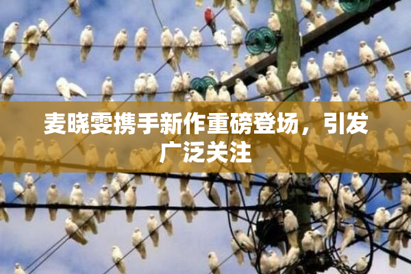 麦晓雯携手新作重磅登场，引发广泛关注