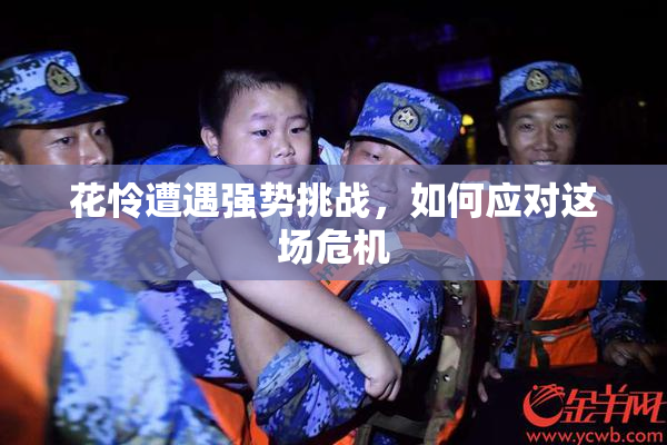 花怜遭遇强势挑战，如何应对这场危机