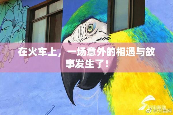 在火车上，一场意外的相遇与故事发生了！