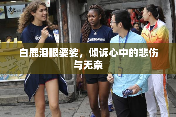白鹿泪眼婆娑，倾诉心中的悲伤与无奈