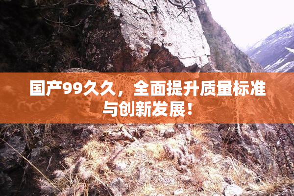 国产99久久，全面提升质量标准与创新发展！