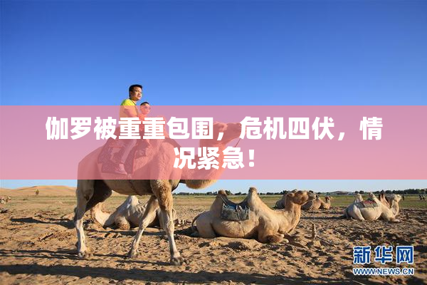 伽罗被重重包围，危机四伏，情况紧急！