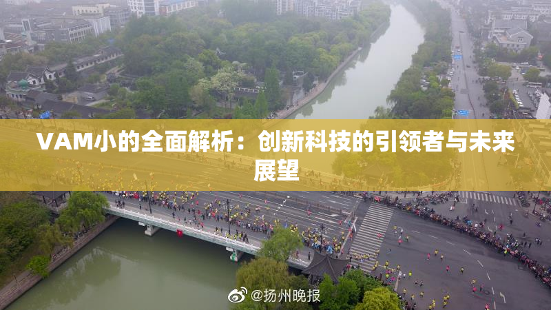 VAM小的全面解析：创新科技的引领者与未来展望