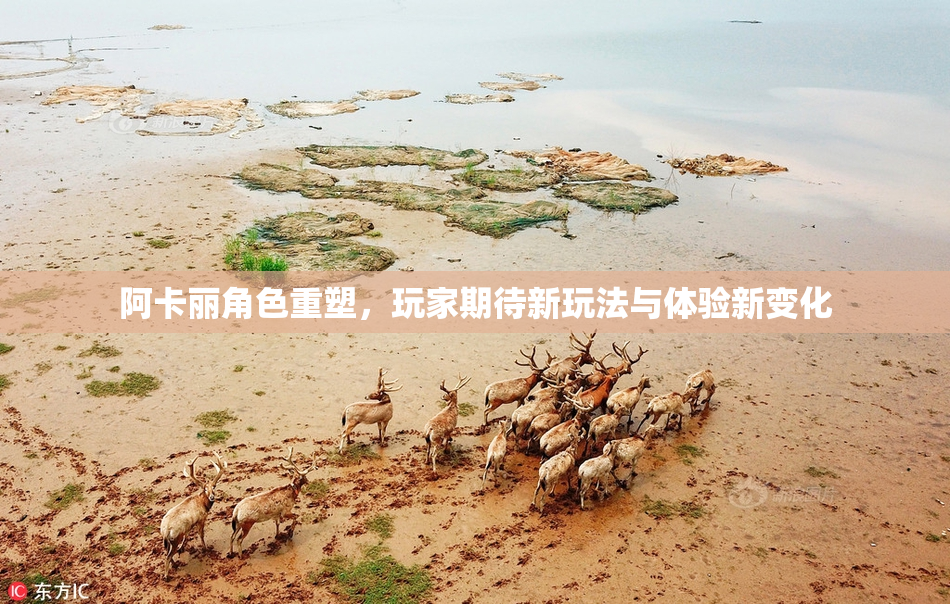 阿卡丽角色重塑，玩家期待新玩法与体验新变化