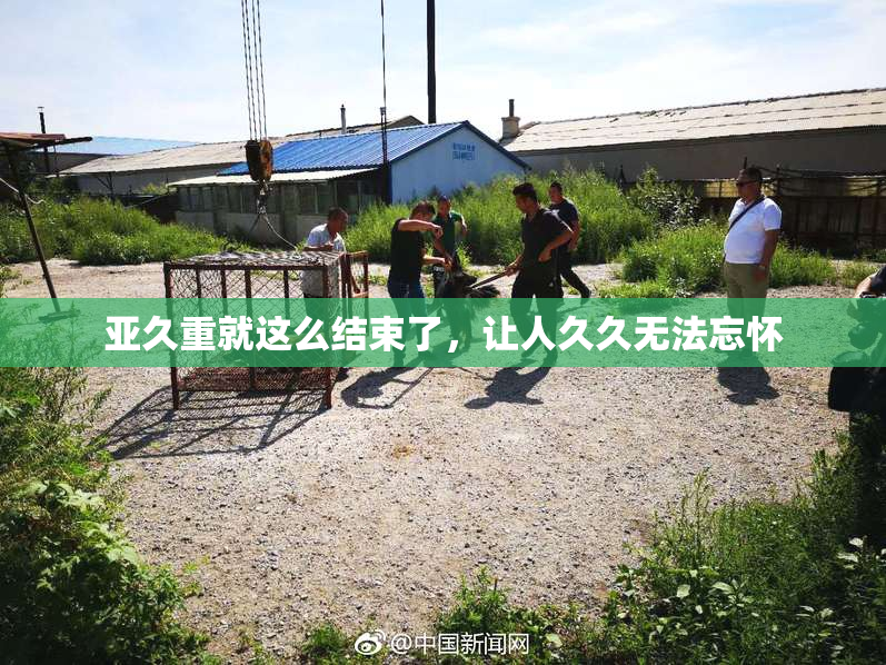 亚久重就这么结束了，让人久久无法忘怀