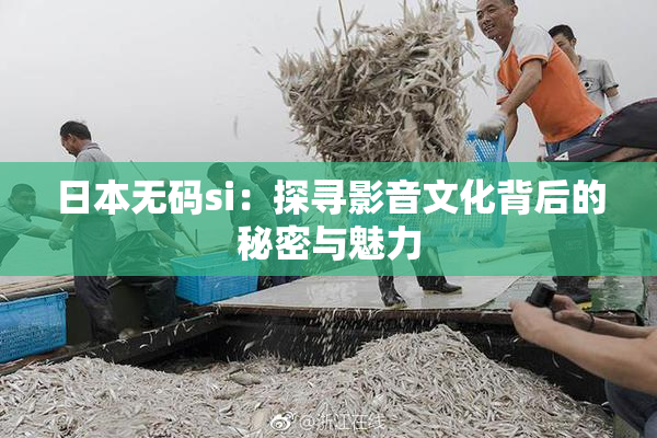 日本无码si：探寻影音文化背后的秘密与魅力