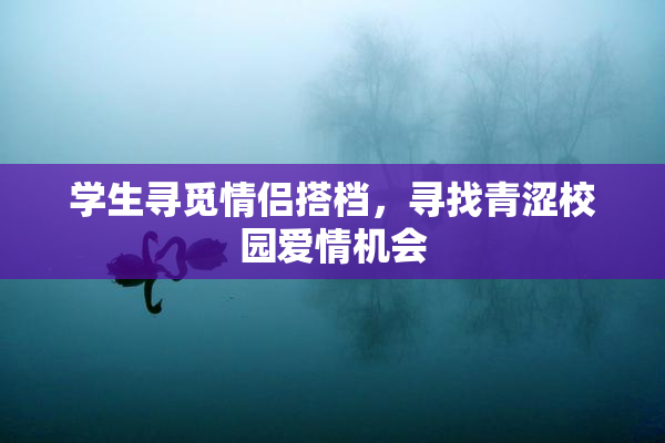学生寻觅情侣搭档，寻找青涩校园爱情机会