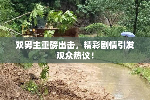 双男主重磅出击，精彩剧情引发观众热议！