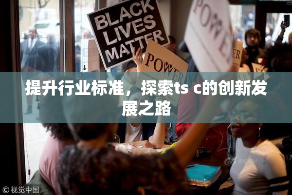 提升行业标准，探索ts c的创新发展之路