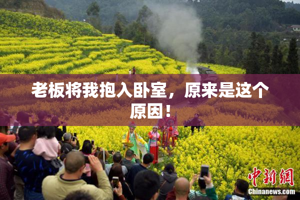 老板将我抱入卧室，原来是这个原因！
