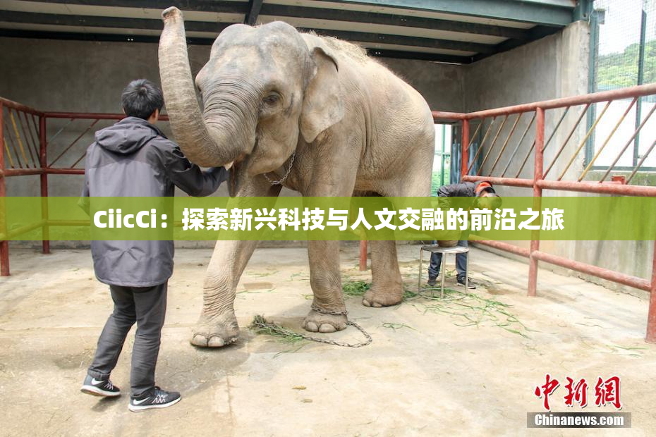 CiicCi：探索新兴科技与人文交融的前沿之旅