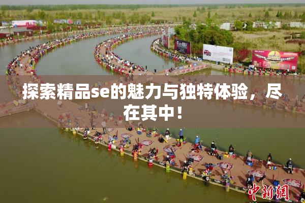 探索精品se的魅力与独特体验，尽在其中！