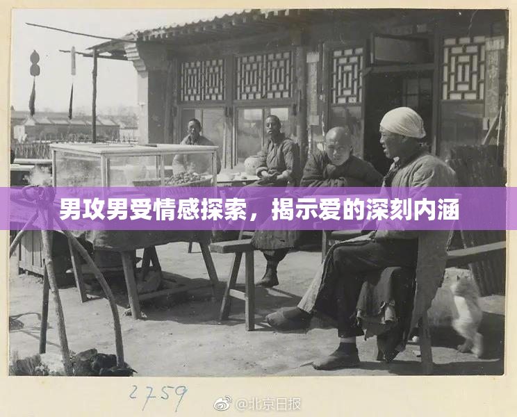 男攻男受情感探索，揭示爱的深刻内涵