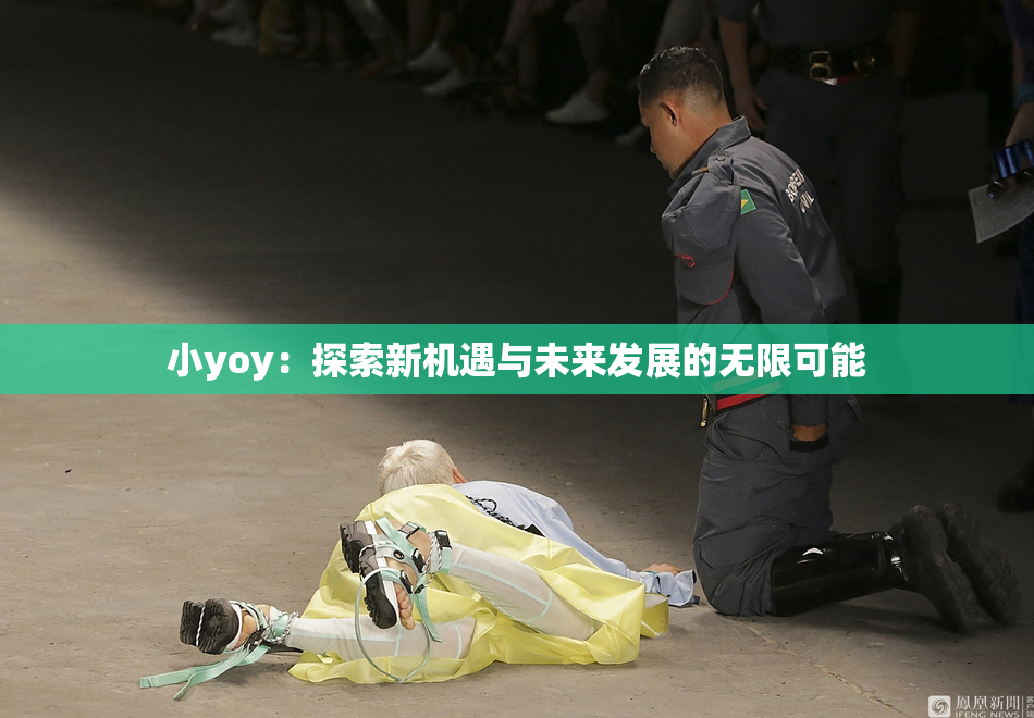 小yoy：探索新机遇与未来发展的无限可能