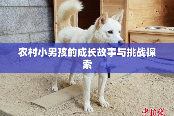 农村小男孩的成长故事与挑战探索