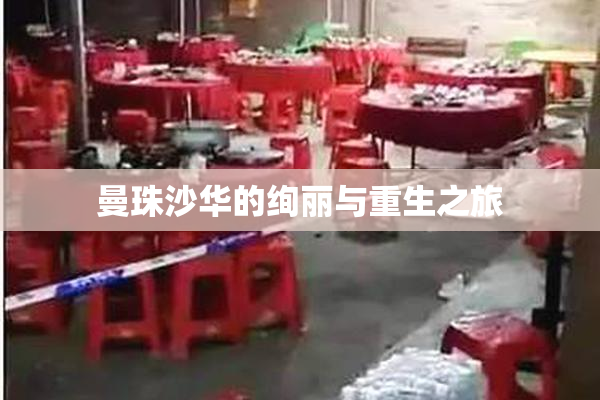 曼珠沙华的绚丽与重生之旅
