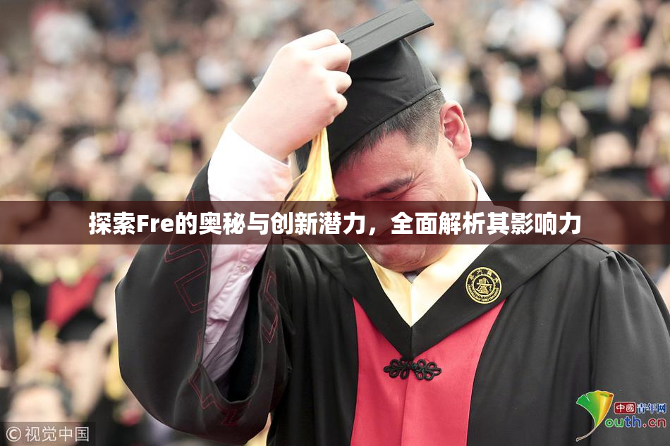 探索Fre的奥秘与创新潜力，全面解析其影响力