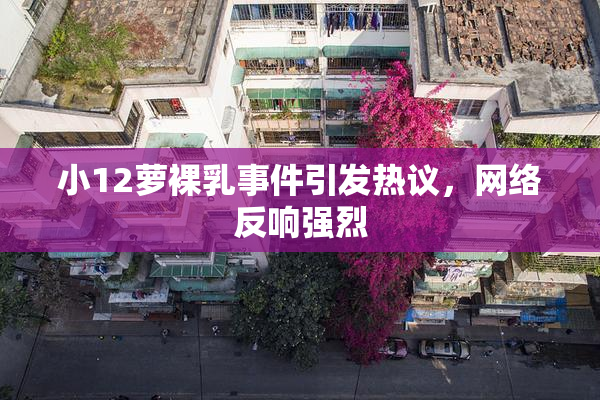 小12萝裸乳事件引发热议，网络反响强烈