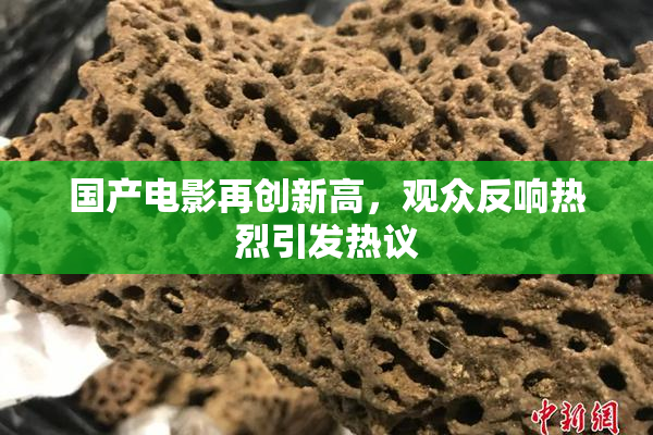 国产电影再创新高，观众反响热烈引发热议
