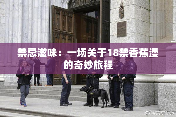 禁忌滋味：一场关于18禁香蕉漫的奇妙旅程