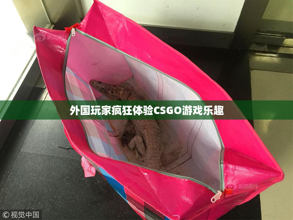 外国玩家疯狂体验CSGO游戏乐趣