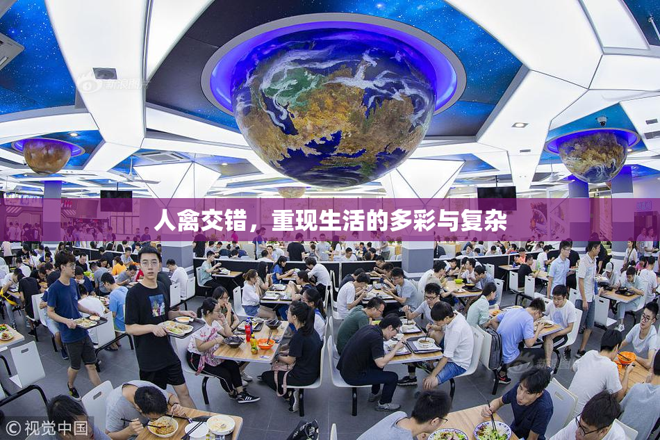 人禽交错，重现生活的多彩与复杂