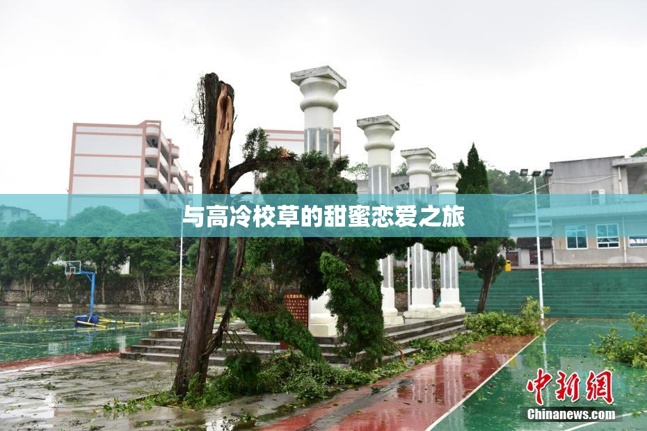 与高冷校草的甜蜜恋爱之旅