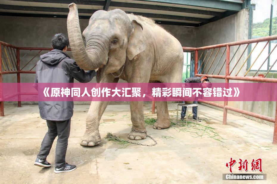 《原神同人创作大汇聚，精彩瞬间不容错过》