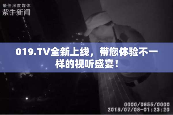 019.TV全新上线，带您体验不一样的视听盛宴！