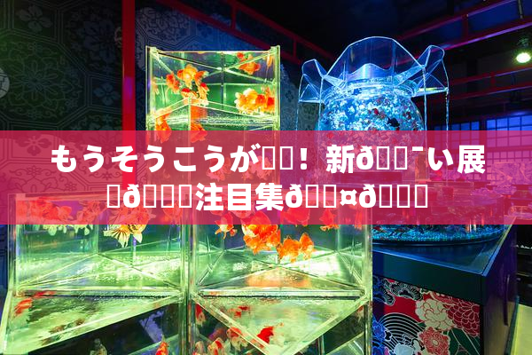 もうそうこうが話題！新🔯い展開🎆注目集🖤🌃