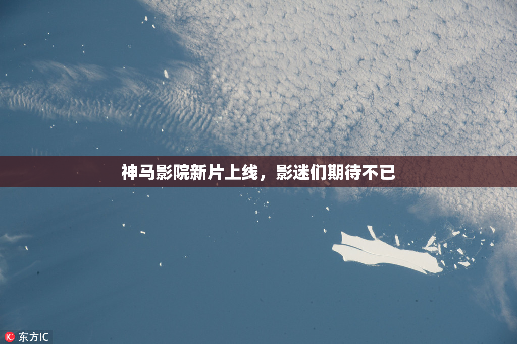 神马影院新片上线，影迷们期待不已