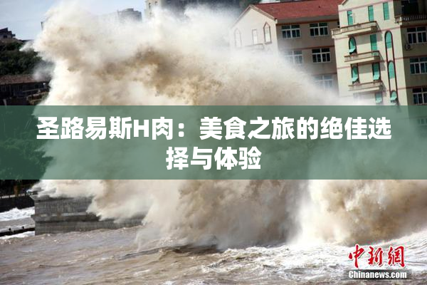 圣路易斯H肉：美食之旅的绝佳选择与体验