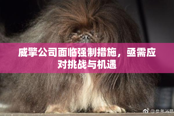 威擎公司面临强制措施，亟需应对挑战与机遇