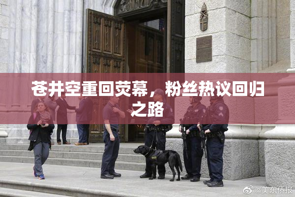 苍井空重回荧幕，粉丝热议回归之路