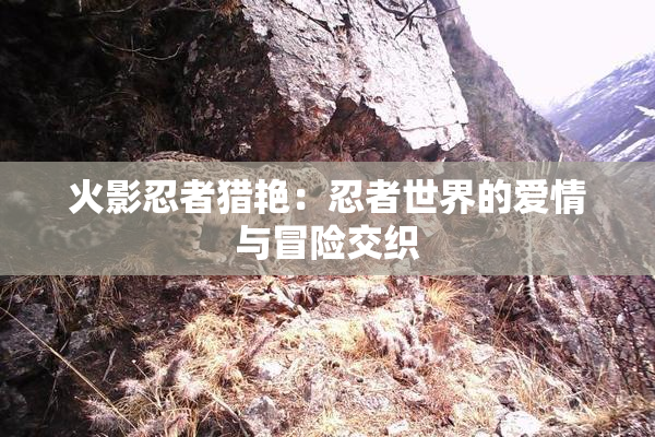 火影忍者猎艳：忍者世界的爱情与冒险交织
