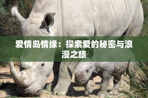 爱情岛情缘：探索爱的秘密与浪漫之旅