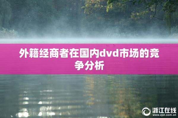 外籍经商者在国内dvd市场的竞争分析