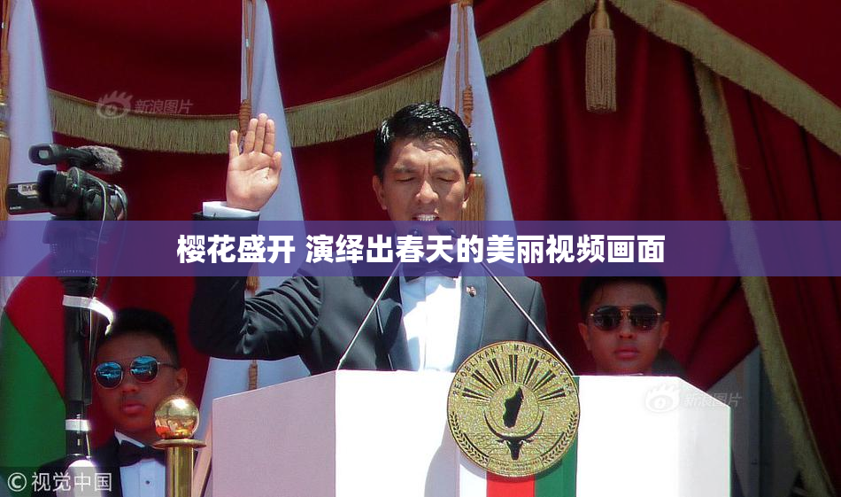 樱花盛开 演绎出春天的美丽视频画面