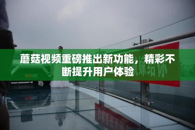 蘑菇视频重磅推出新功能，精彩不断提升用户体验