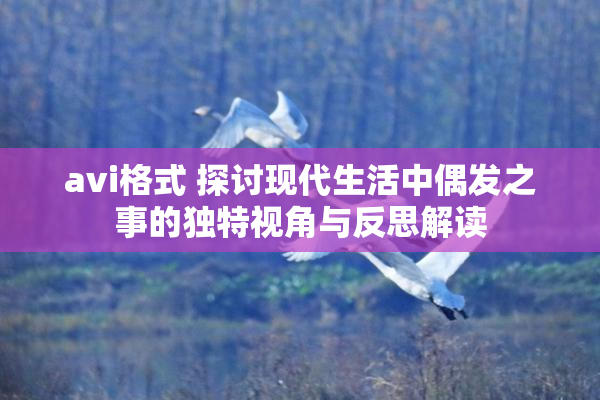 avi格式 探讨现代生活中偶发之事的独特视角与反思解读