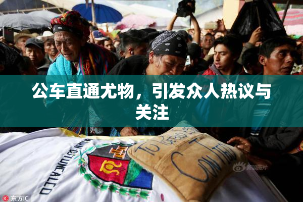 公车直通尤物，引发众人热议与关注
