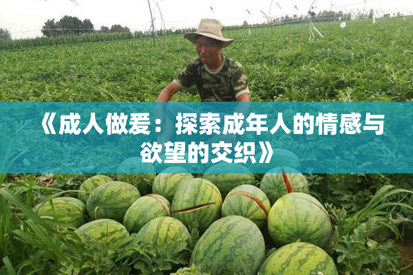 《成人做爰：探索成年人的情感与欲望的交织》