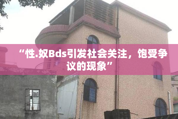 “性.奴Bds引发社会关注，饱受争议的现象”