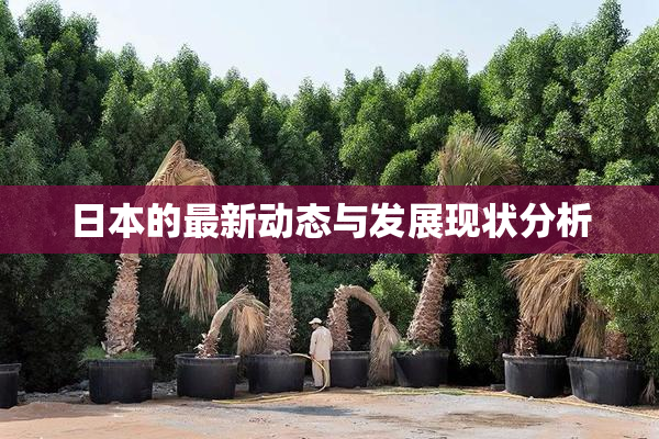 日本的最新动态与发展现状分析