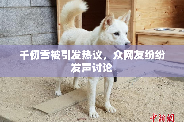千仞雪被引发热议，众网友纷纷发声讨论