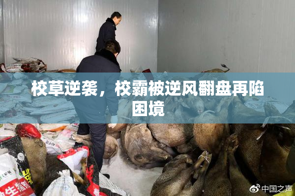 校草逆袭，校霸被逆风翻盘再陷困境